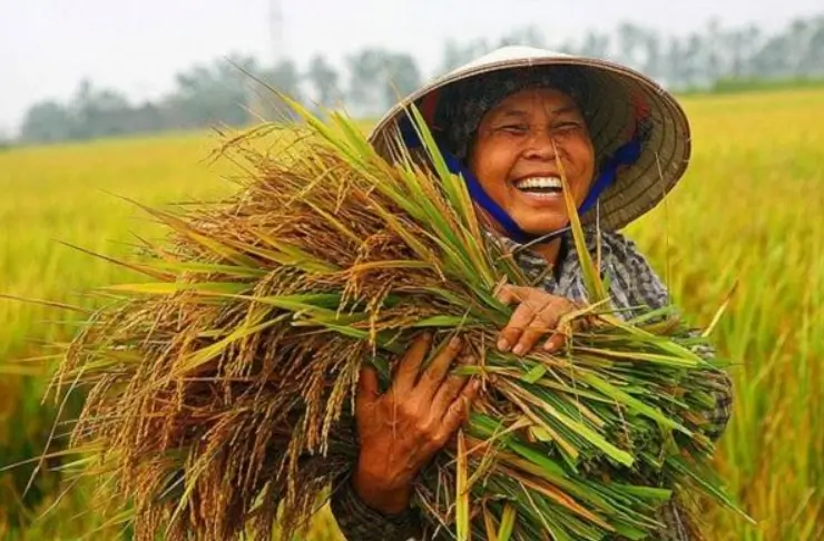 The Mekong from Tibet to the South of Vietnam: the Source of Life and Livelihood of Millions of People Under Threat