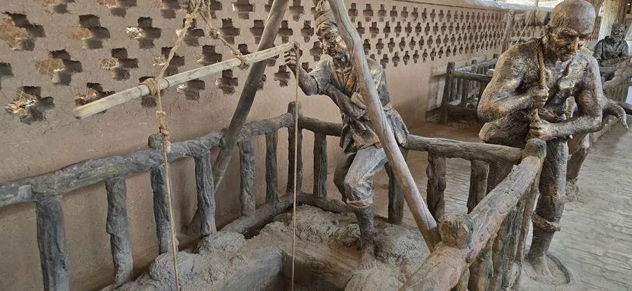Ancient Ingenuity, Desert Survival