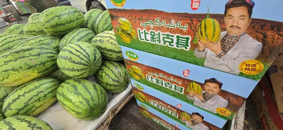 A farmer proudly presents his watermelons