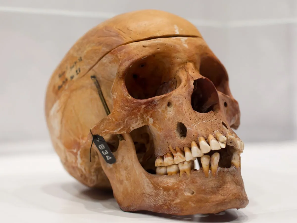 Skulls of Colonial Victims Were Returned
