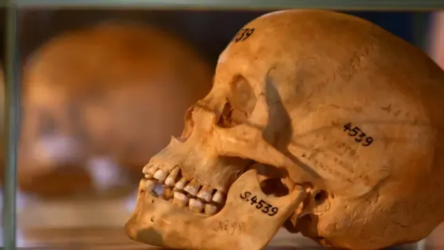  Namibian genocide victims