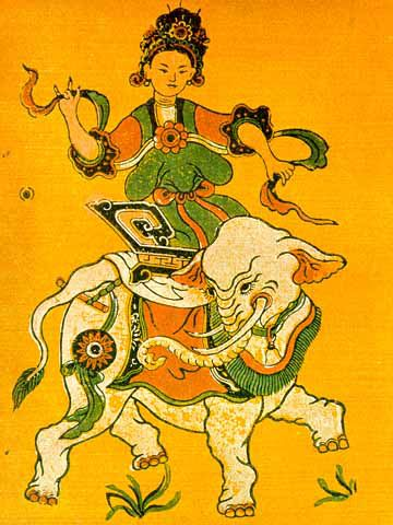vietnams lady warrior