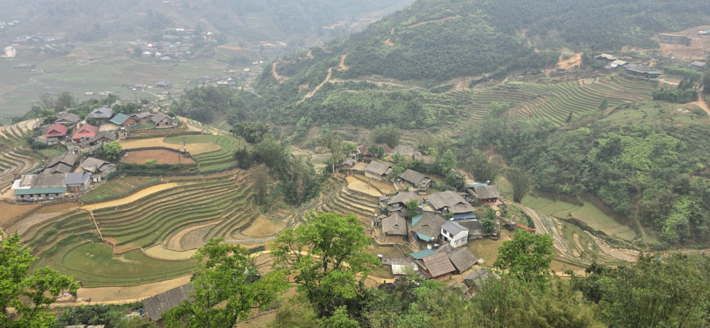 Sapa’s iconic terraced field
