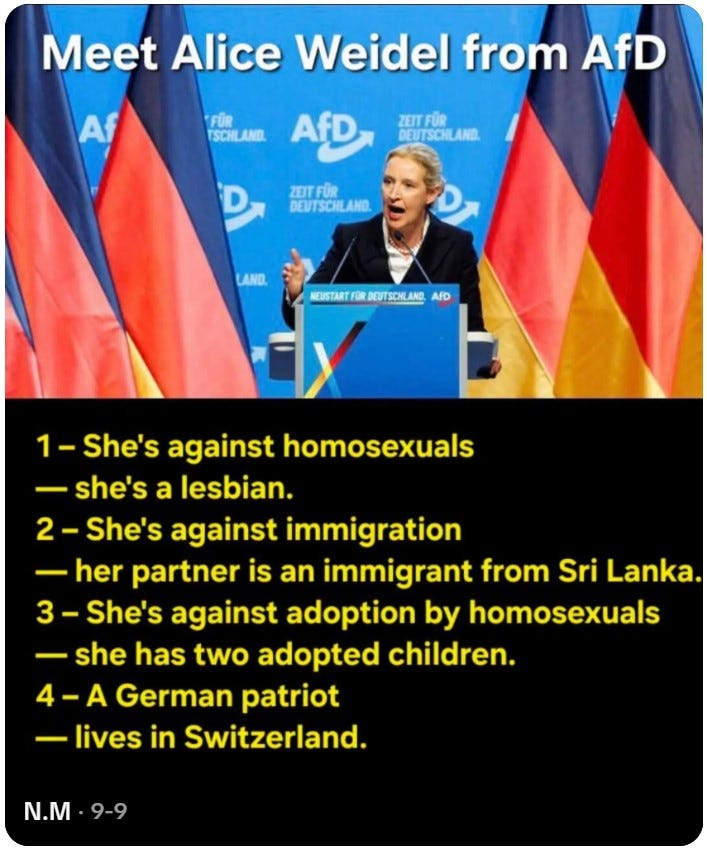 AfD Co-Chair Alice Weidel is a complete hypocrite